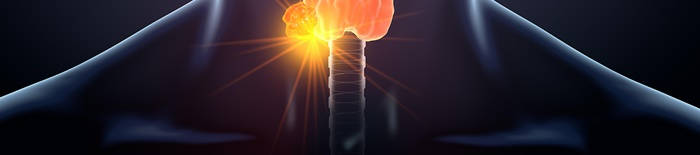 desmesothelialenGewebes1.jpg