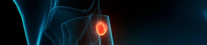 desmesothelialenGewebes1.jpg
