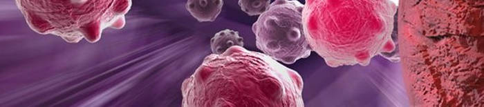 desmesothelialenGewebes1.jpg