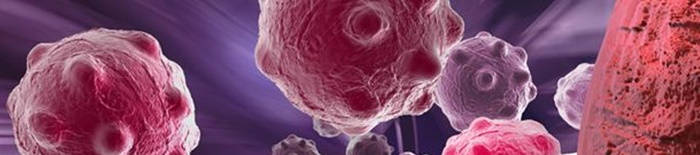 desmesothelialenGewebes1.jpg