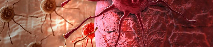 desmesothelialenGewebes1.jpg