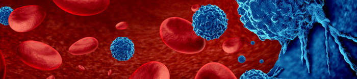 desmesothelialenGewebes1.jpg
