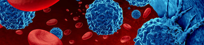 desmesothelialenGewebes1.jpg