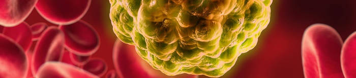 desmesothelialenGewebes1.jpg