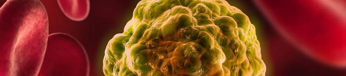 desmesothelialenGewebes1.jpg