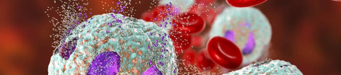 desmesothelialenGewebes1.jpg