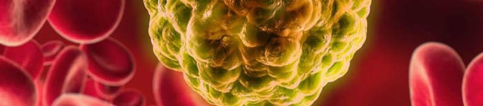 desmesothelialenGewebes1.jpg