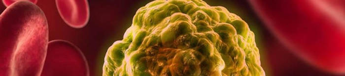 desmesothelialenGewebes1.jpg