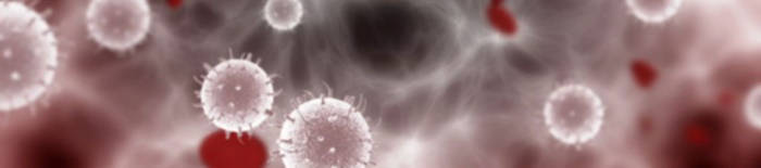 desmesothelialenGewebes1.jpg
