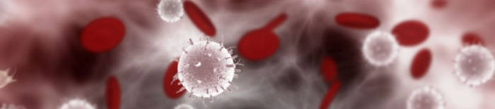 desmesothelialenGewebes1.jpg