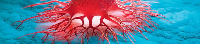 desmesothelialenGewebes1.jpg