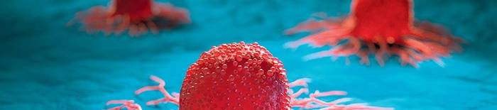 desmesothelialenGewebes1.jpg