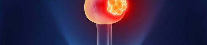 desmesothelialenGewebes1.jpg
