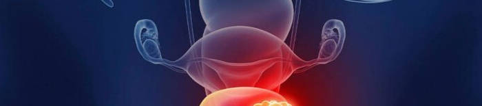 desmesothelialenGewebes1.jpg