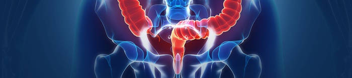 desmesothelialenGewebes1.jpg
