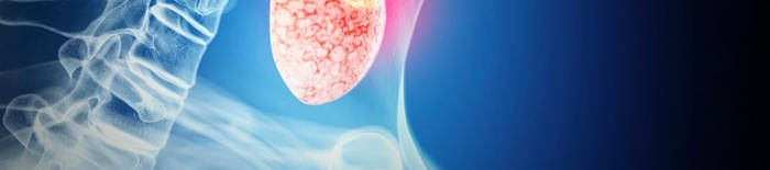 desmesothelialenGewebes1.jpg