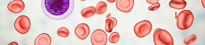 desmesothelialenGewebes1.jpg