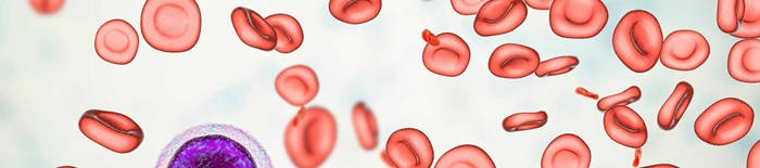 desmesothelialenGewebes1.jpg