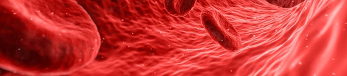desmesothelialenGewebes1.jpg