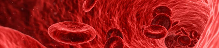 desmesothelialenGewebes1.jpg