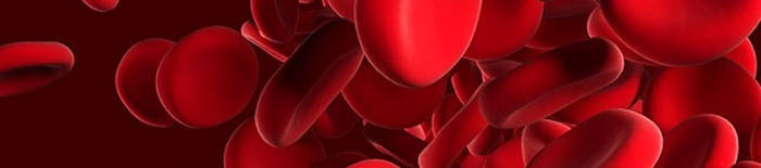 desmesothelialenGewebes1.jpg