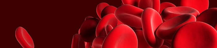 desmesothelialenGewebes1.jpg