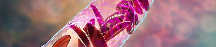 desmesothelialenGewebes1.jpg