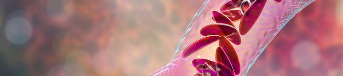 desmesothelialenGewebes1.jpg