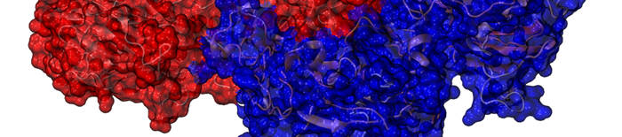 desmesothelialenGewebes1.jpg