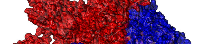desmesothelialenGewebes1.jpg