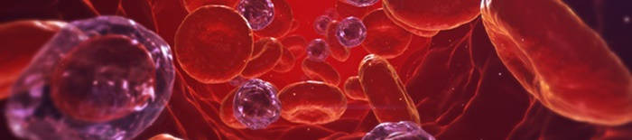 desmesothelialenGewebes1.jpg