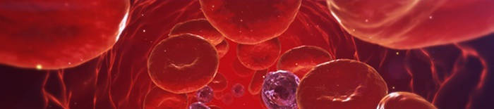 desmesothelialenGewebes1.jpg