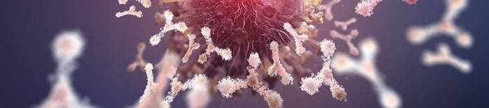 desmesothelialenGewebes1.jpg
