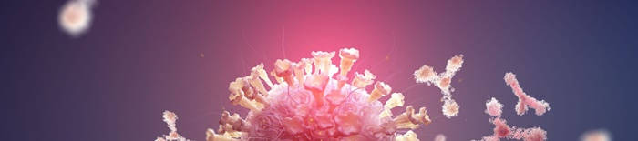 desmesothelialenGewebes1.jpg