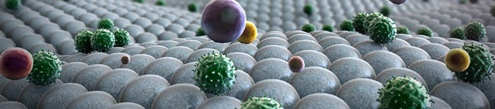 desmesothelialenGewebes1.jpg