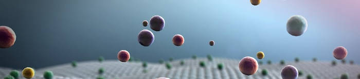 desmesothelialenGewebes1.jpg