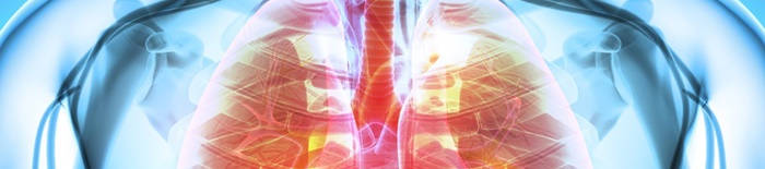 desmesothelialenGewebes1.jpg