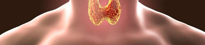Colitis-ulcerosa1.jpg