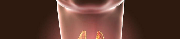 Colitis-ulcerosa1.jpg