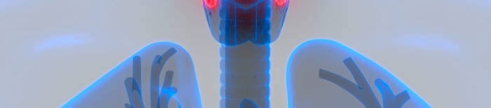 Colitis-ulcerosa1.jpg
