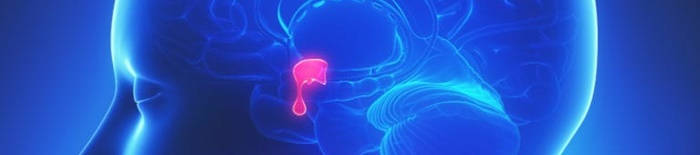 Colitis-ulcerosa1.jpg