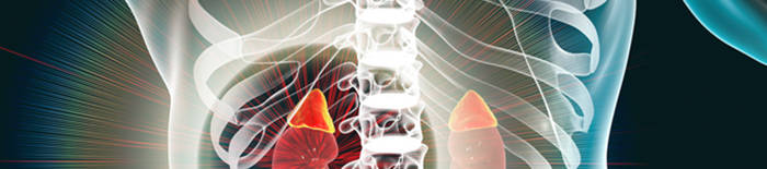 Colitis-ulcerosa1.jpg