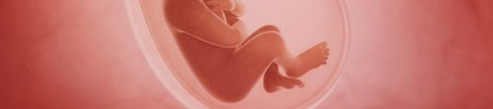 IntrauterineHypoxie1.jpg