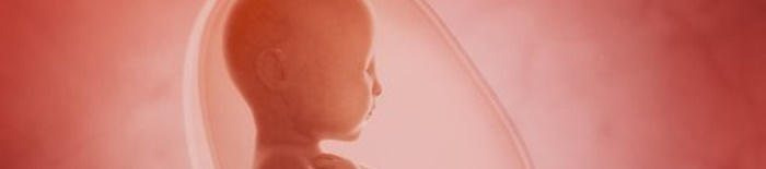 IntrauterineHypoxie1.jpg