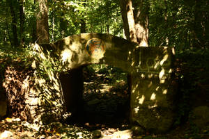 the bridge and the dry creek