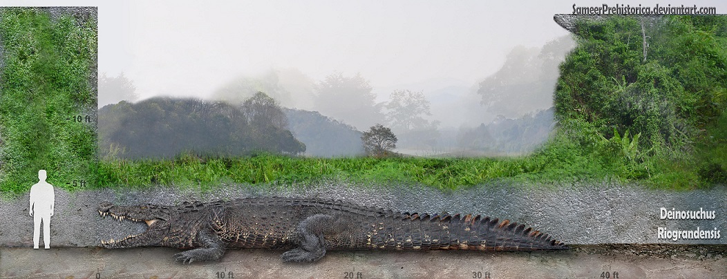 Deinosuchus by SameerPrehistorica