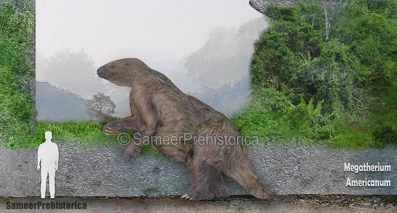 Megatherium Size