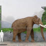Columbian Mammoth Size