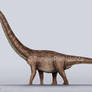 Argentinosaurus Size