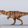 Carcharodontosaurus Size